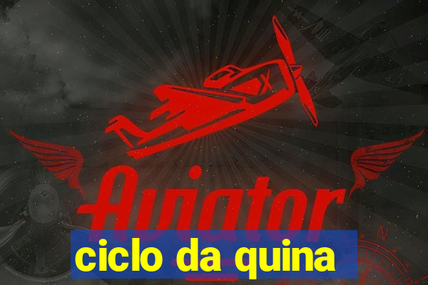 ciclo da quina